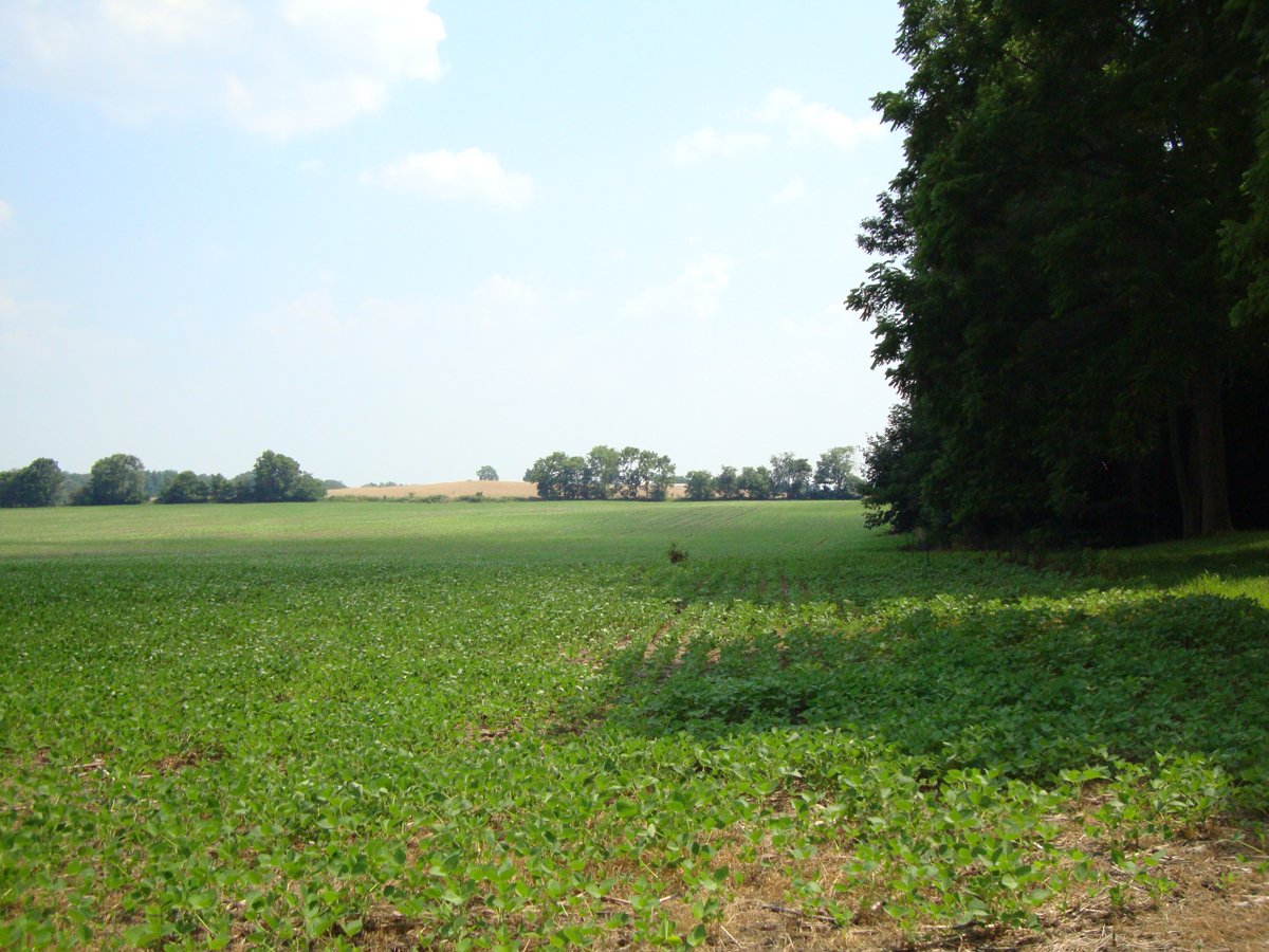 Property photo 27 - 160 Acres Offered in 6 Tracts